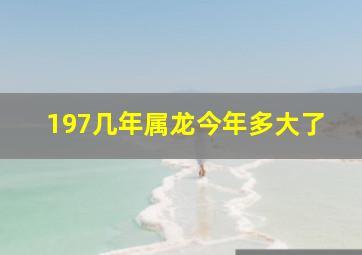 197几年属龙今年多大了