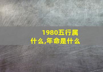 1980五行属什么,年命是什么