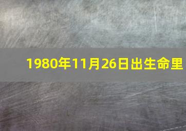 1980年11月26日出生命里