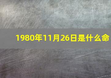 1980年11月26日是什么命