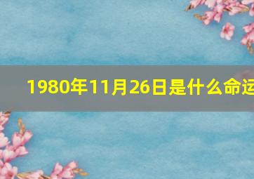 1980年11月26日是什么命运