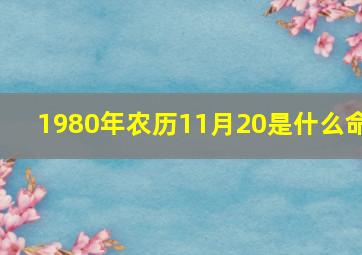 1980年农历11月20是什么命