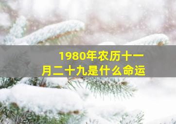 1980年农历十一月二十九是什么命运