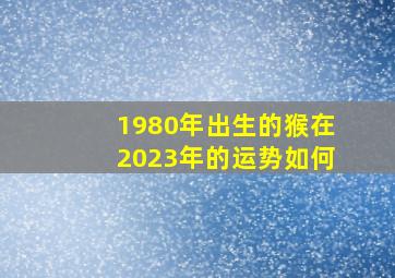 1980年出生的猴在2023年的运势如何