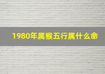 1980年属猴五行属什么命