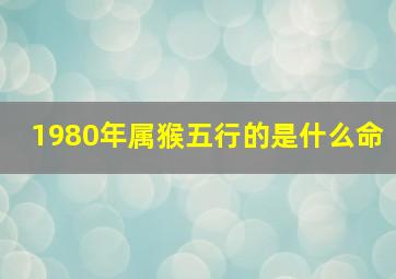 1980年属猴五行的是什么命