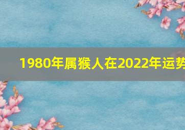 1980年属猴人在2022年运势