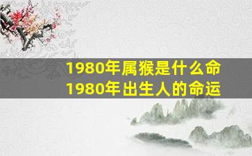 1980年属猴是什么命1980年出生人的命运