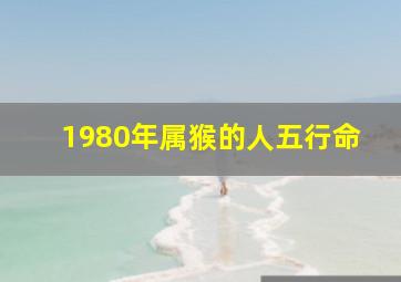 1980年属猴的人五行命