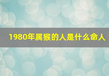 1980年属猴的人是什么命人