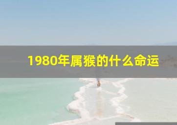 1980年属猴的什么命运