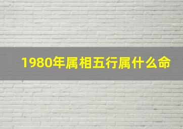 1980年属相五行属什么命