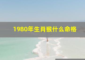 1980年生肖猴什么命格