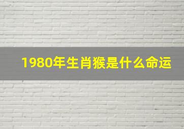 1980年生肖猴是什么命运