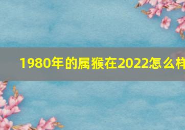 1980年的属猴在2022怎么样