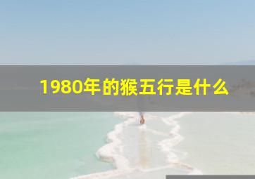 1980年的猴五行是什么