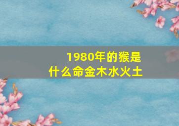 1980年的猴是什么命金木水火土