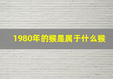 1980年的猴是属于什么猴