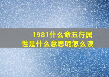 1981什么命五行属性是什么意思呢怎么读