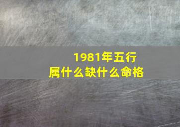 1981年五行属什么缺什么命格