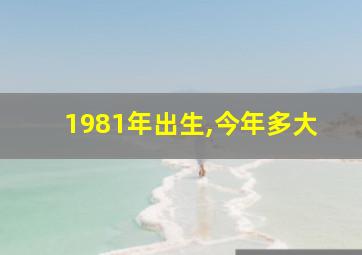 1981年出生,今年多大