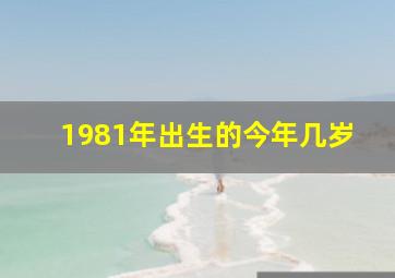 1981年出生的今年几岁