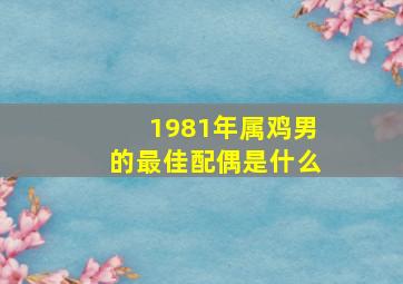 1981年属鸡男的最佳配偶是什么