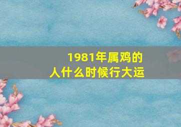 1981年属鸡的人什么时候行大运