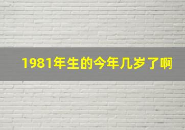 1981年生的今年几岁了啊