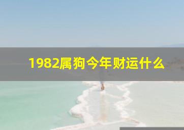 1982属狗今年财运什么