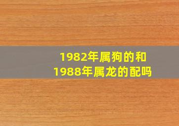 1982年属狗的和1988年属龙的配吗