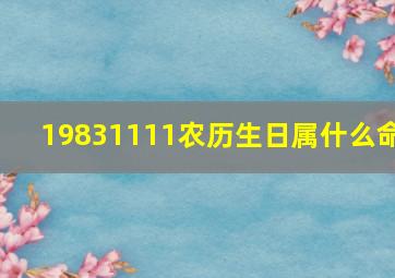 19831111农历生日属什么命