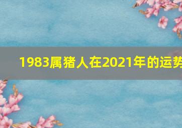 1983属猪人在2021年的运势