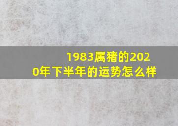 1983属猪的2020年下半年的运势怎么样