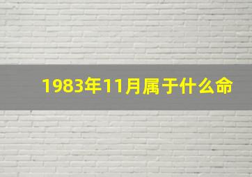 1983年11月属于什么命