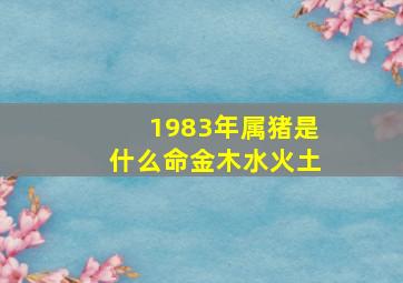 1983年属猪是什么命金木水火土