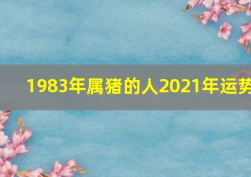 1983年属猪的人2021年运势