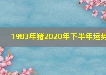 1983年猪2020年下半年运势