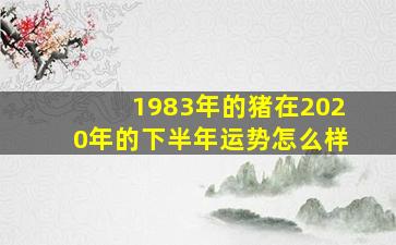 1983年的猪在2020年的下半年运势怎么样