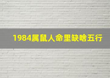 1984属鼠人命里缺啥五行