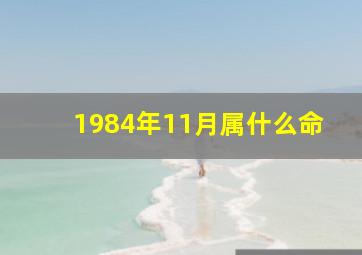 1984年11月属什么命