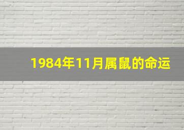 1984年11月属鼠的命运