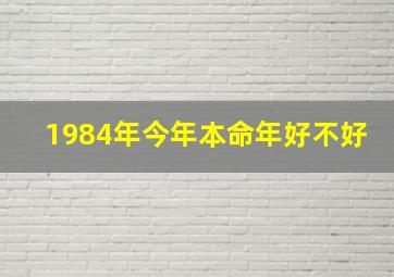 1984年今年本命年好不好