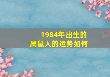 1984年出生的属鼠人的运势如何