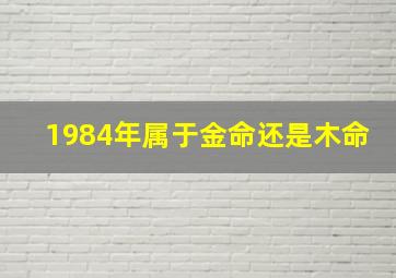 1984年属于金命还是木命