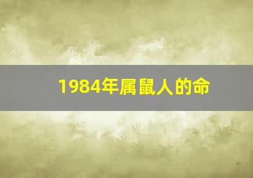 1984年属鼠人的命