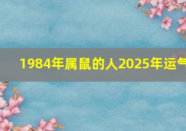 1984年属鼠的人2025年运气