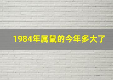 1984年属鼠的今年多大了