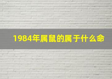 1984年属鼠的属于什么命