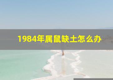 1984年属鼠缺土怎么办